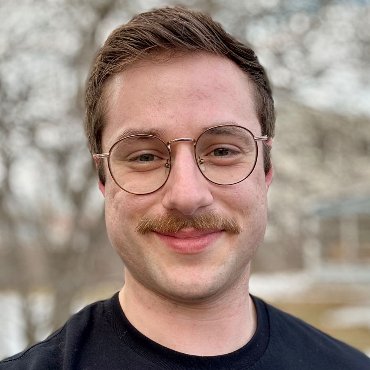 Profile of Leo Westebbe