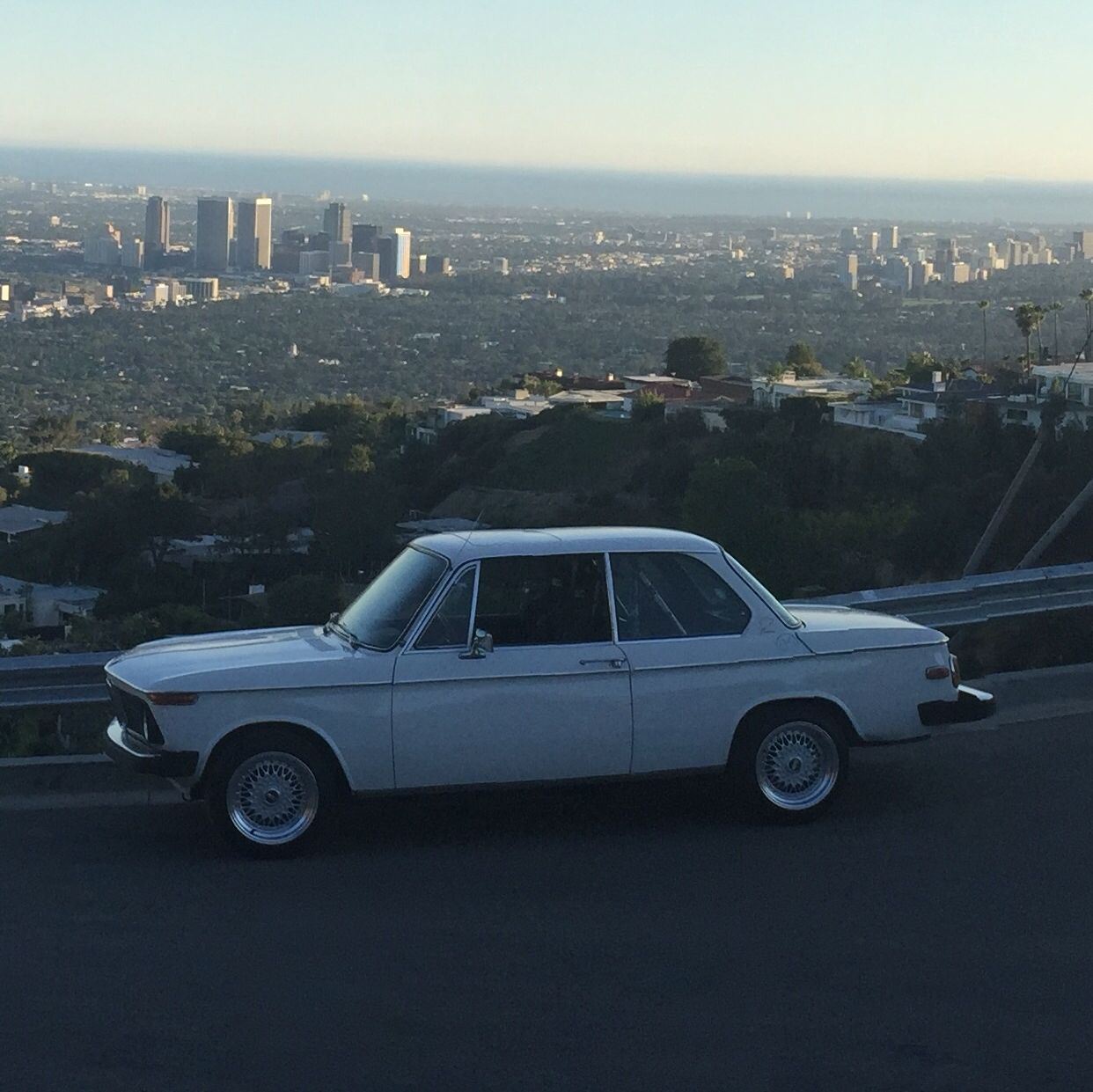 Profile of Anthony Hajdu