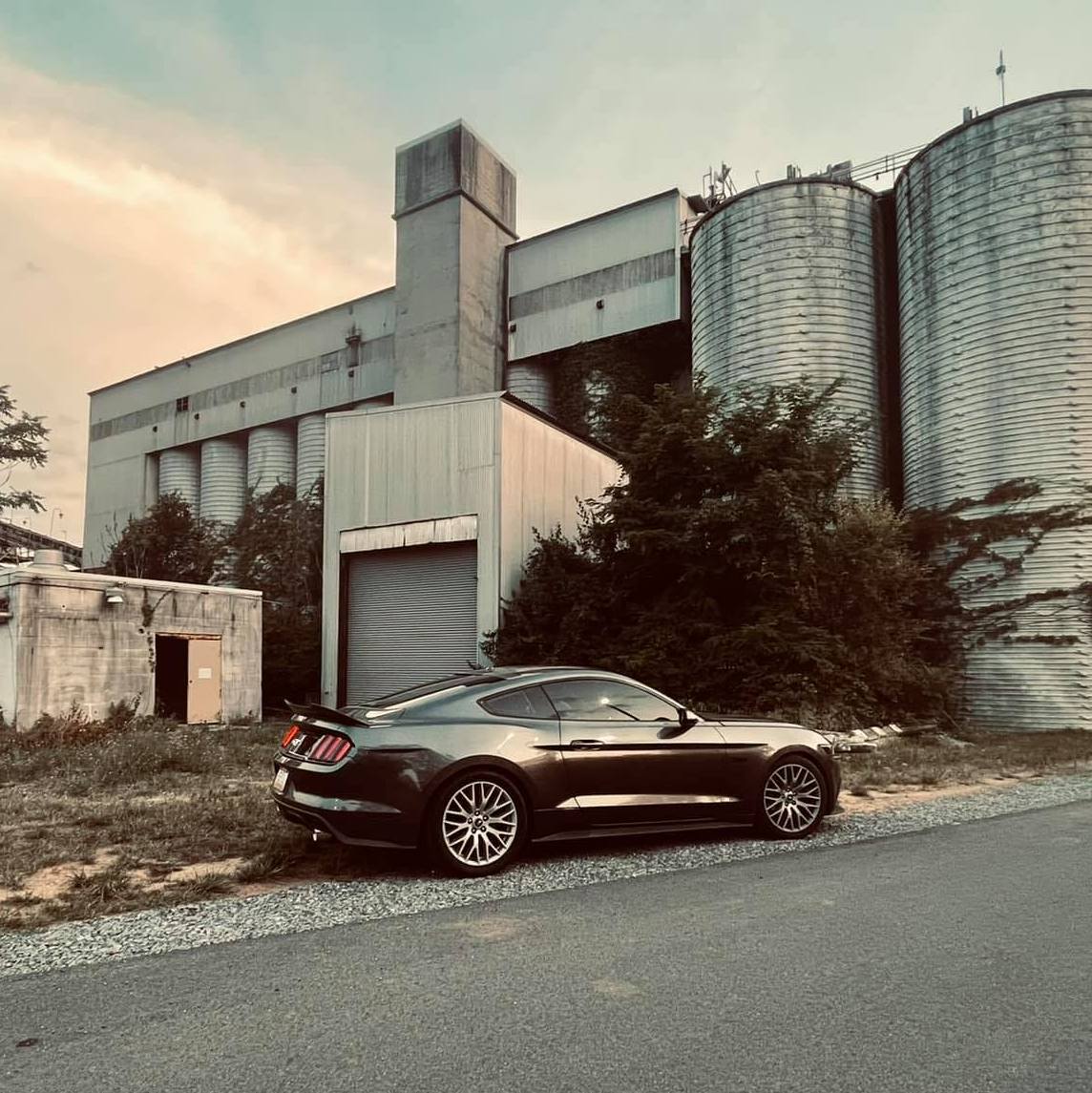 Profile of Everett Hull