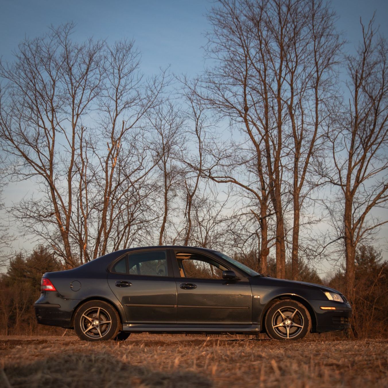 Profile of Brandon Voisine