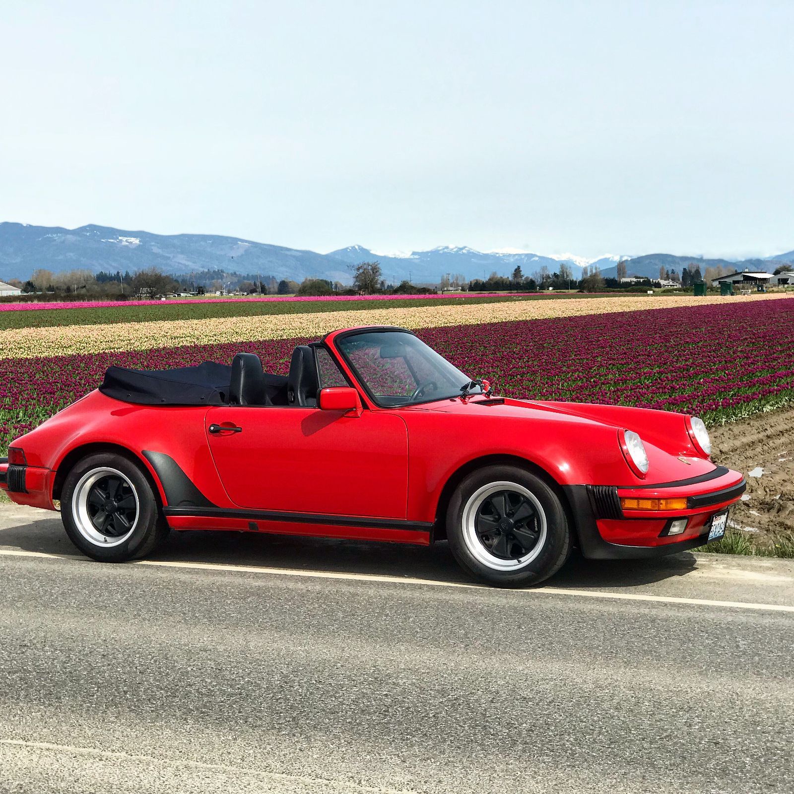 Profile of James Curry