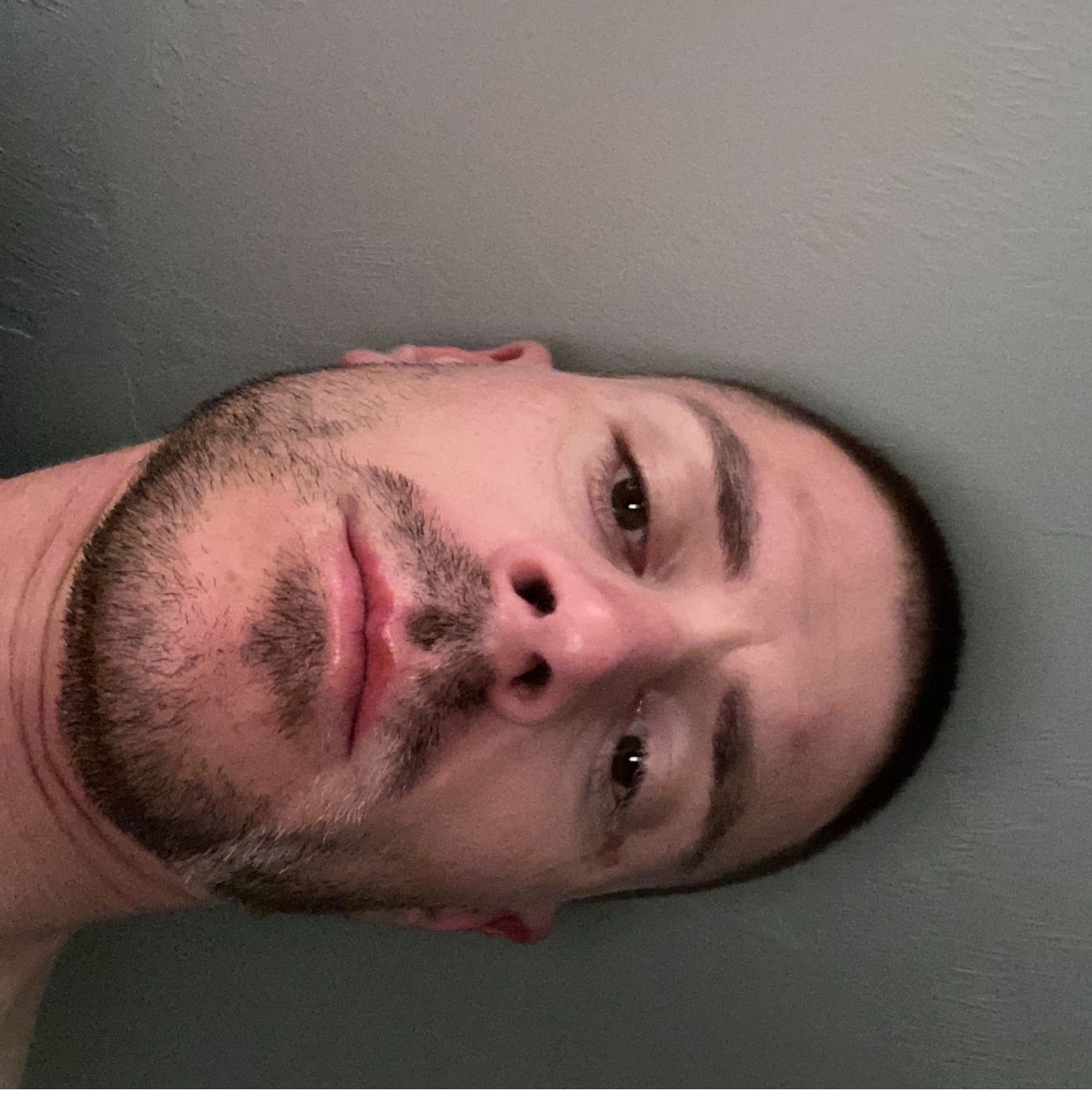 Profile of Noah Pomerantz