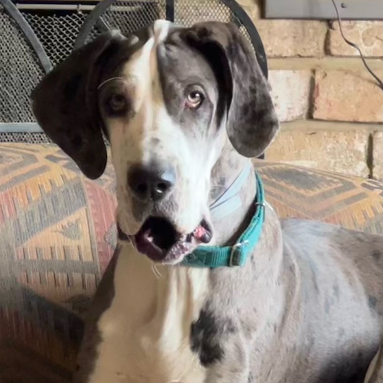 Profile of Kamara Makari