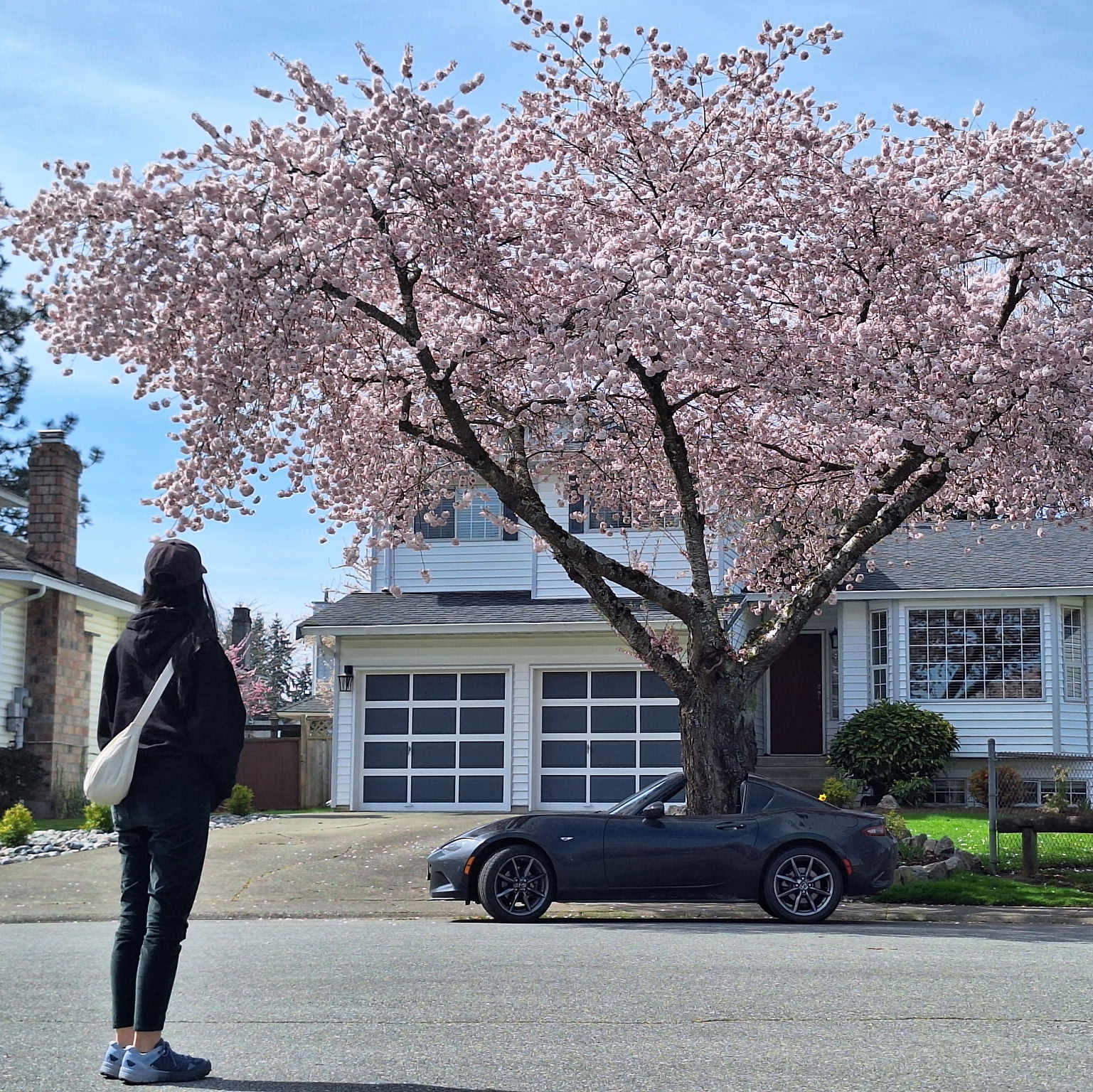 Profile of Elle Chau