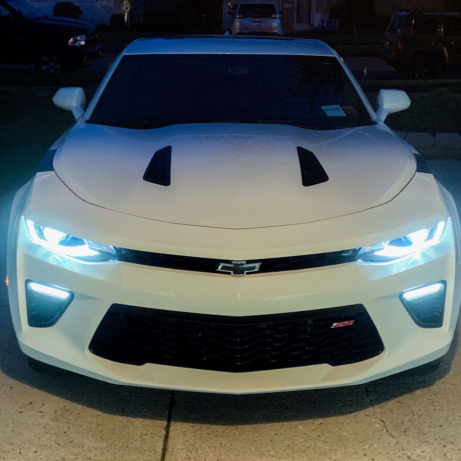 Profile of Adam Dimmick