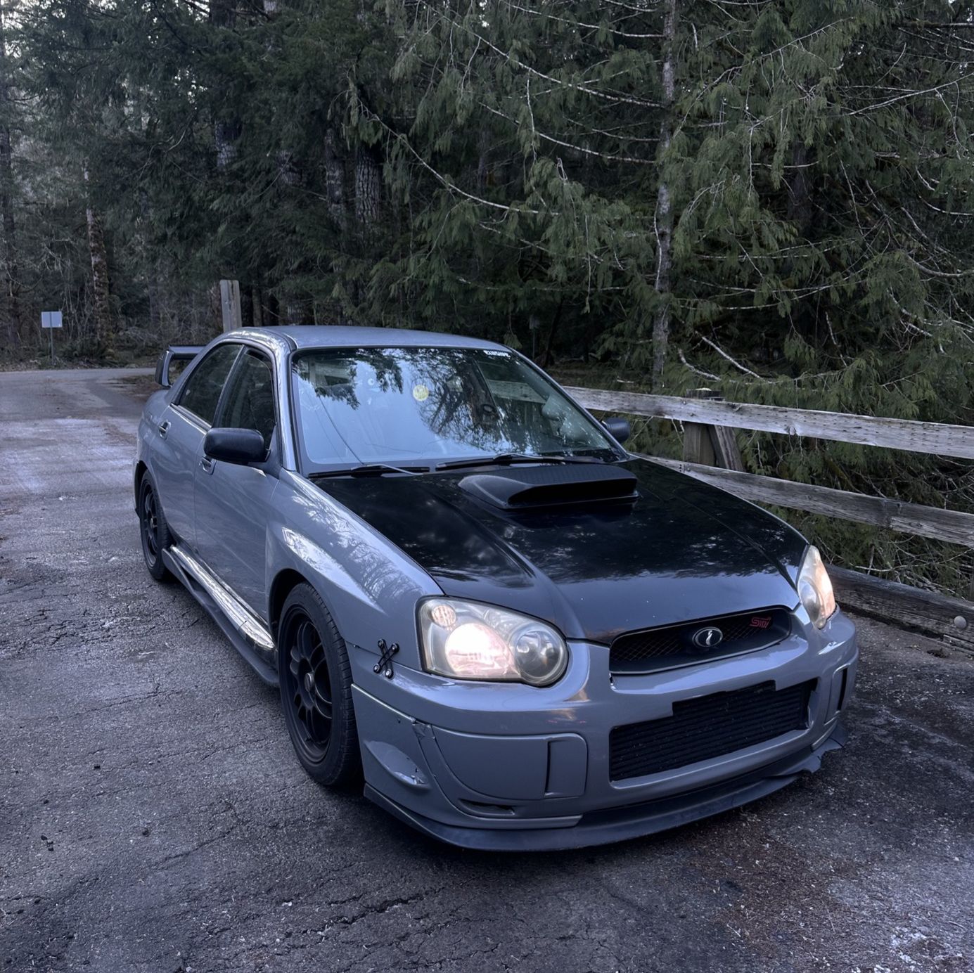 Profile of Carly Diehl