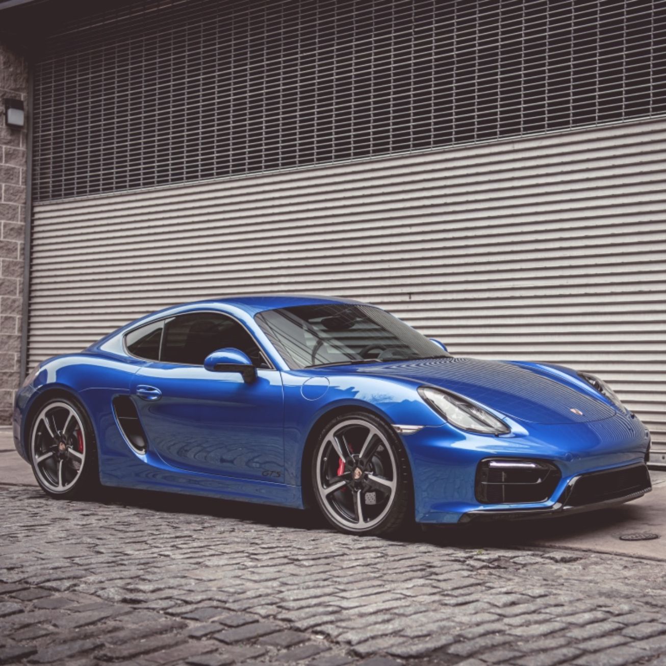 Profile of Tiffany Hamilton