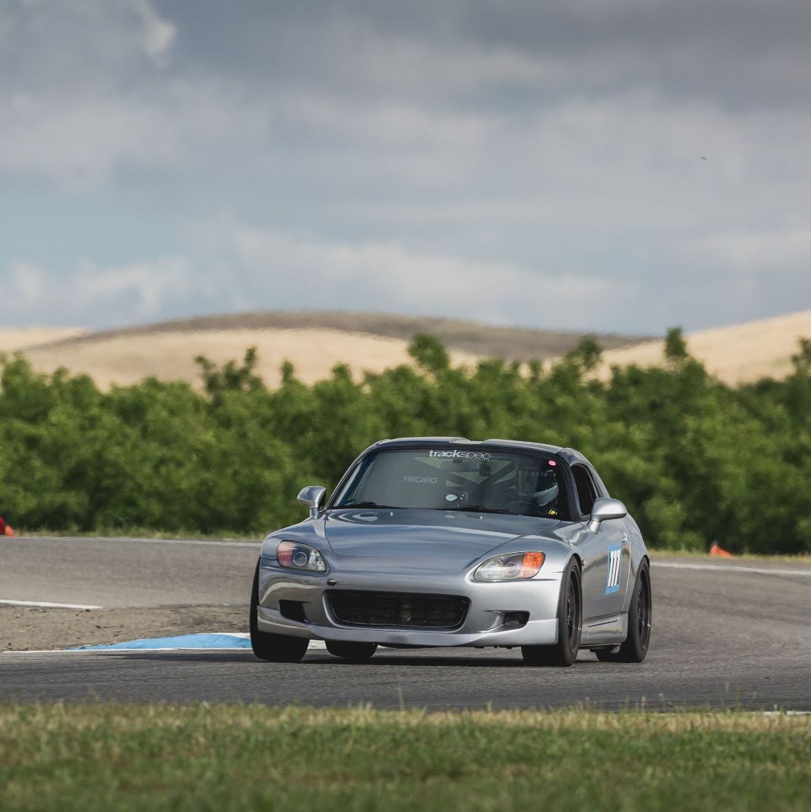 Profile of Steven Brauer