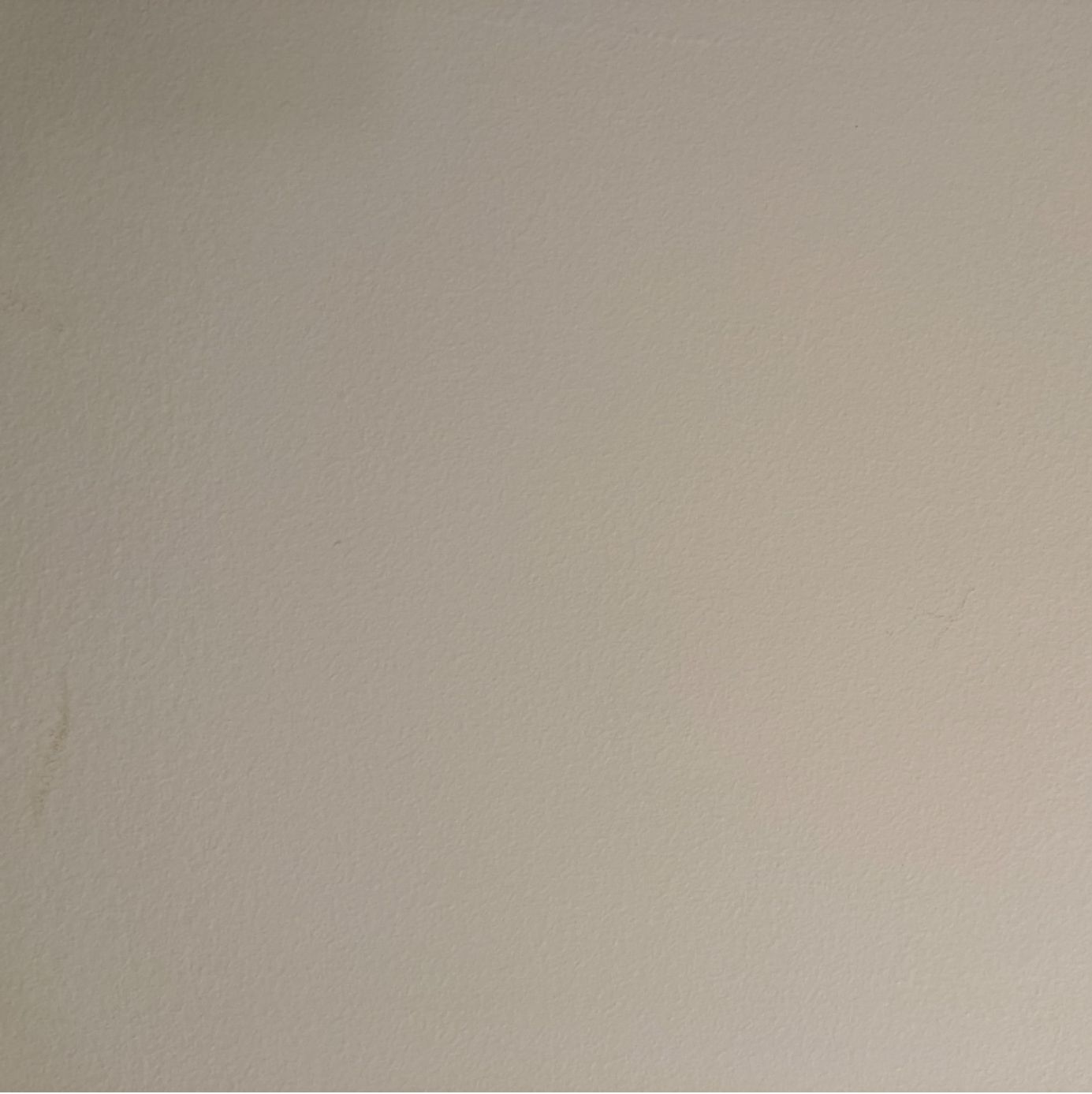 Profile of Monty Reimer