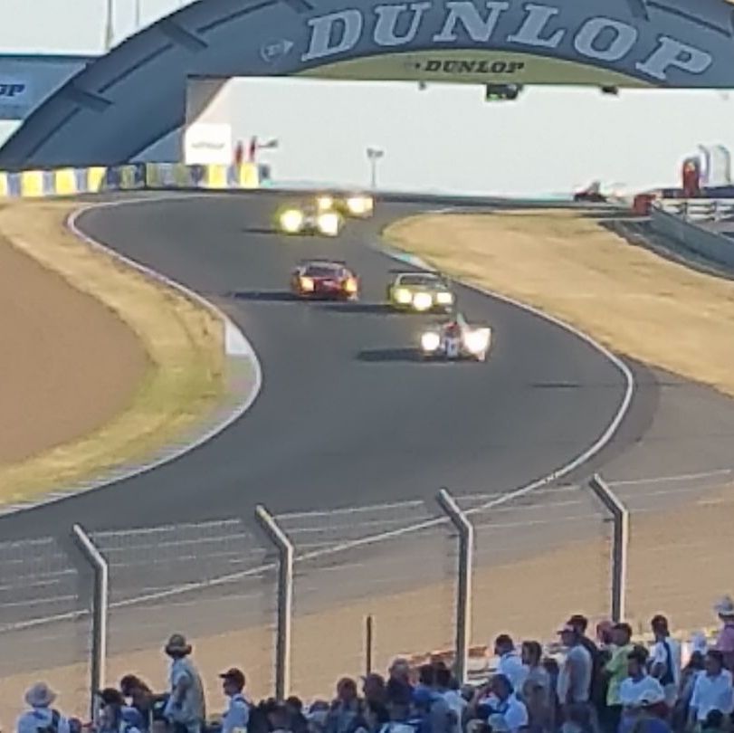 Profile of Michael P