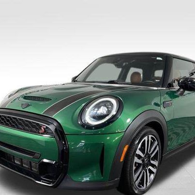 Profile of Nancy Hlavin