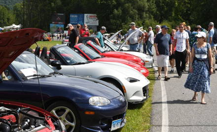 Gathering of the Marques - Sunday in the Park