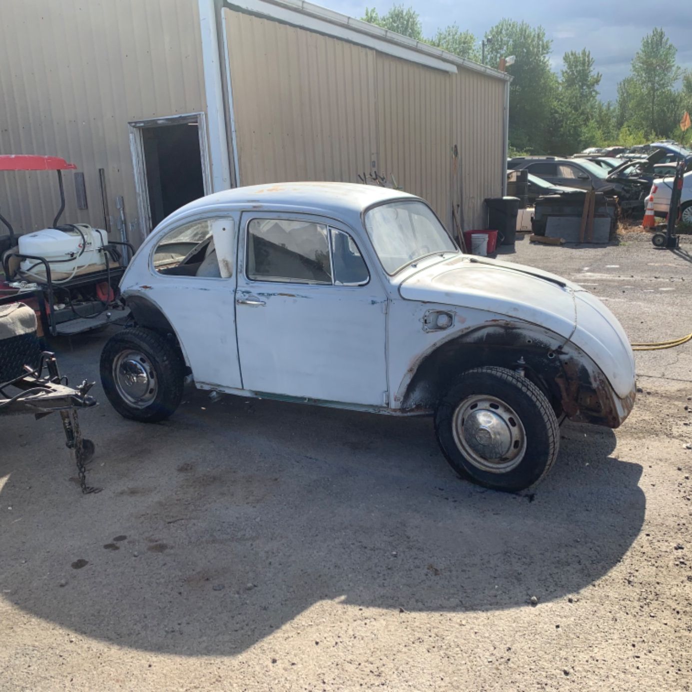 Profile of Amy Brett