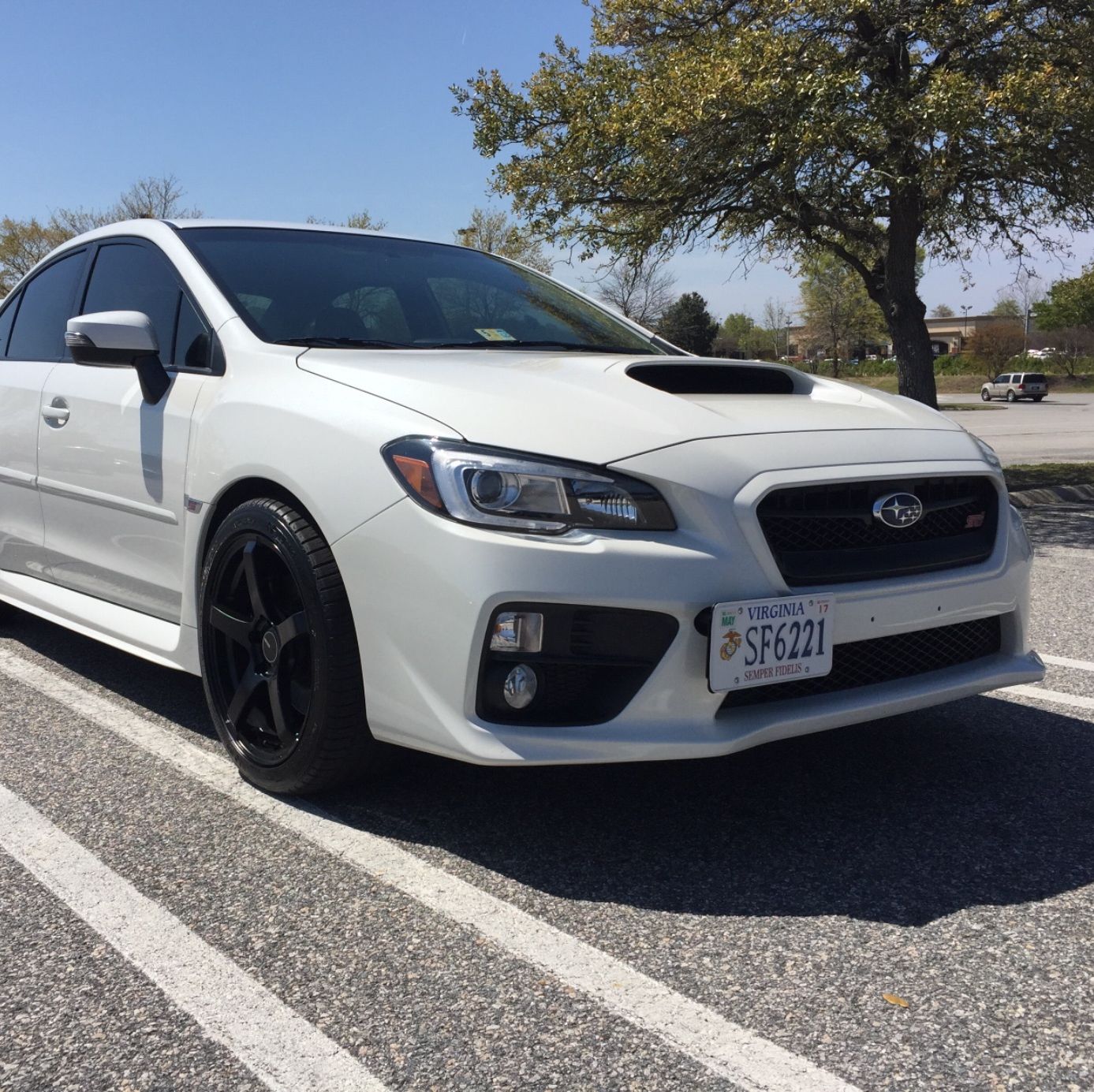 Profile of Matthew Matthews