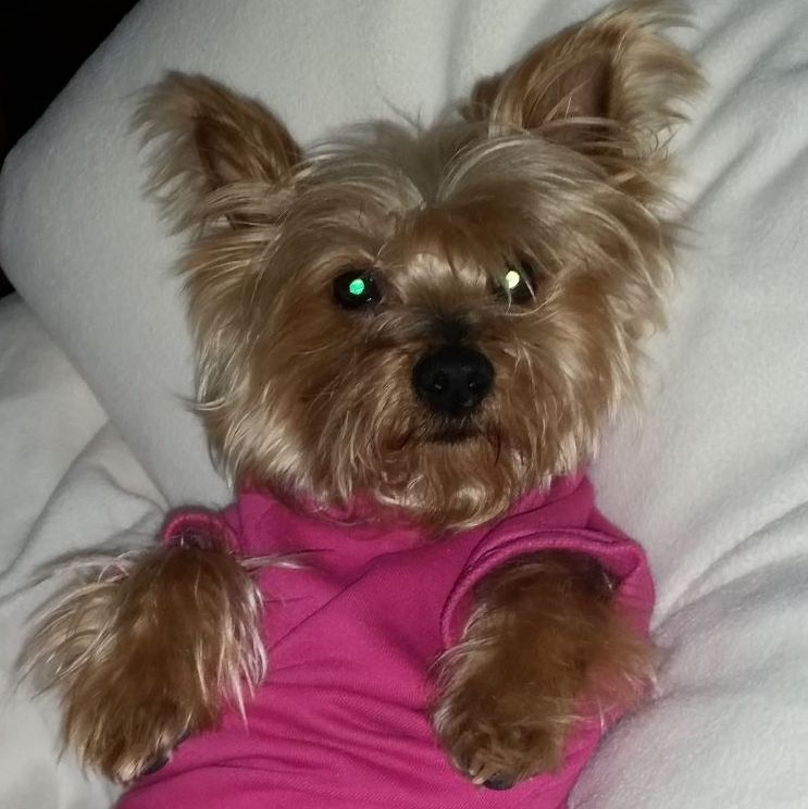 Profile of John Giove