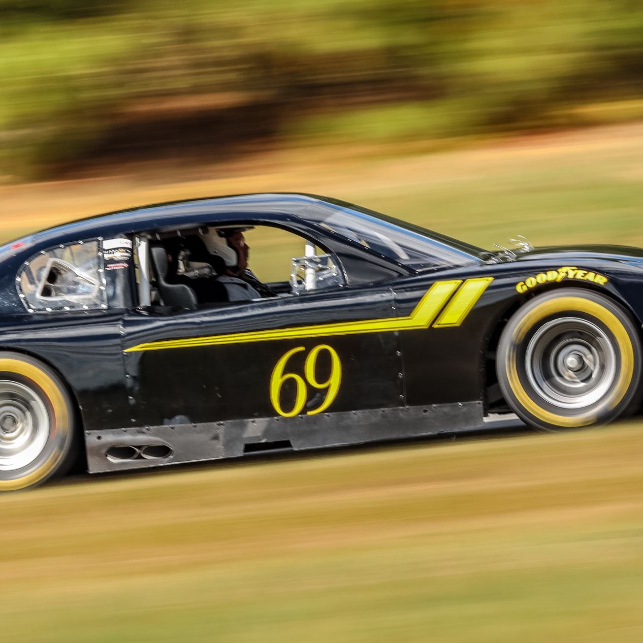 Profile of Timothy McCauley