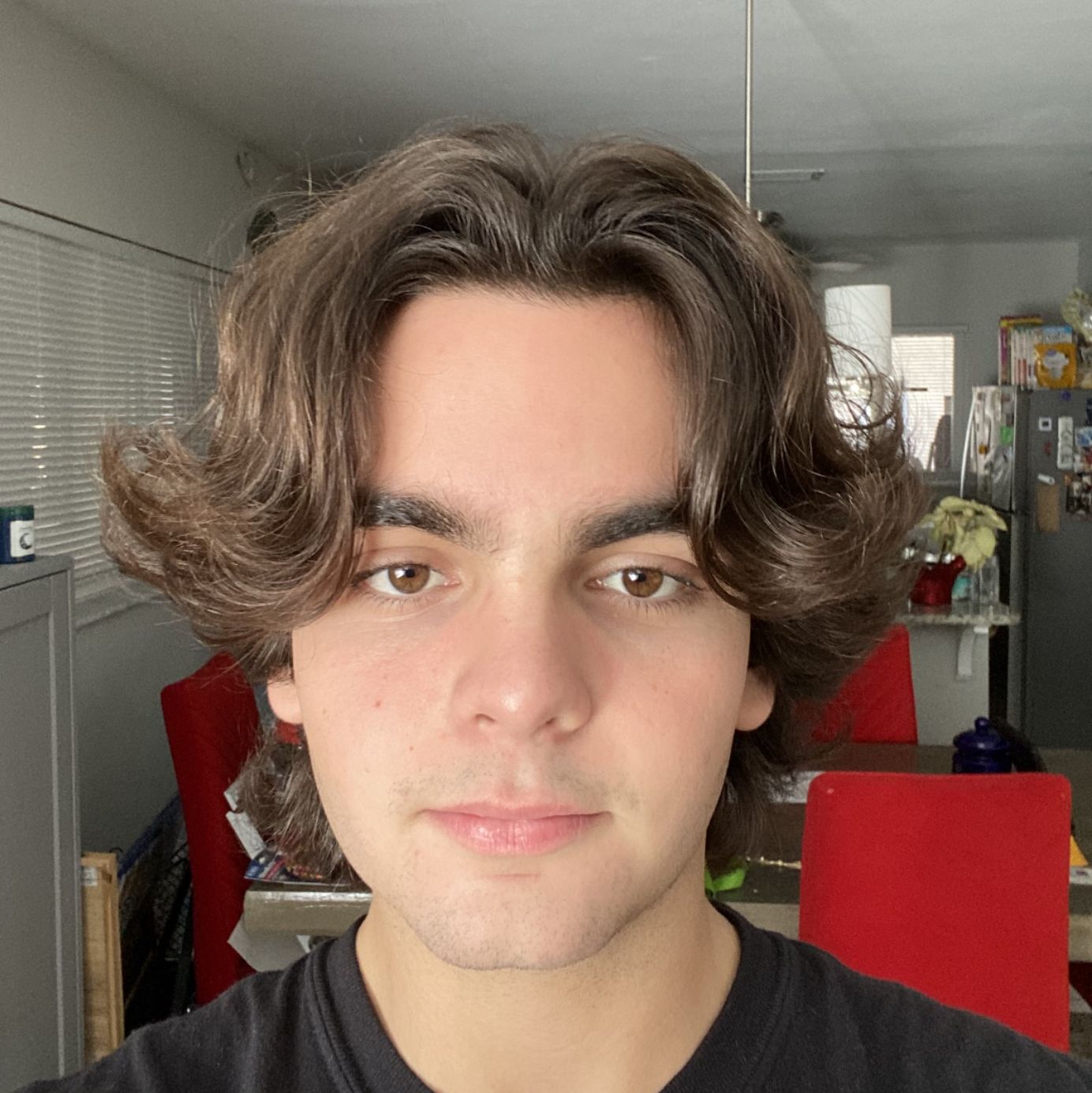 Profile of Joseph Welch