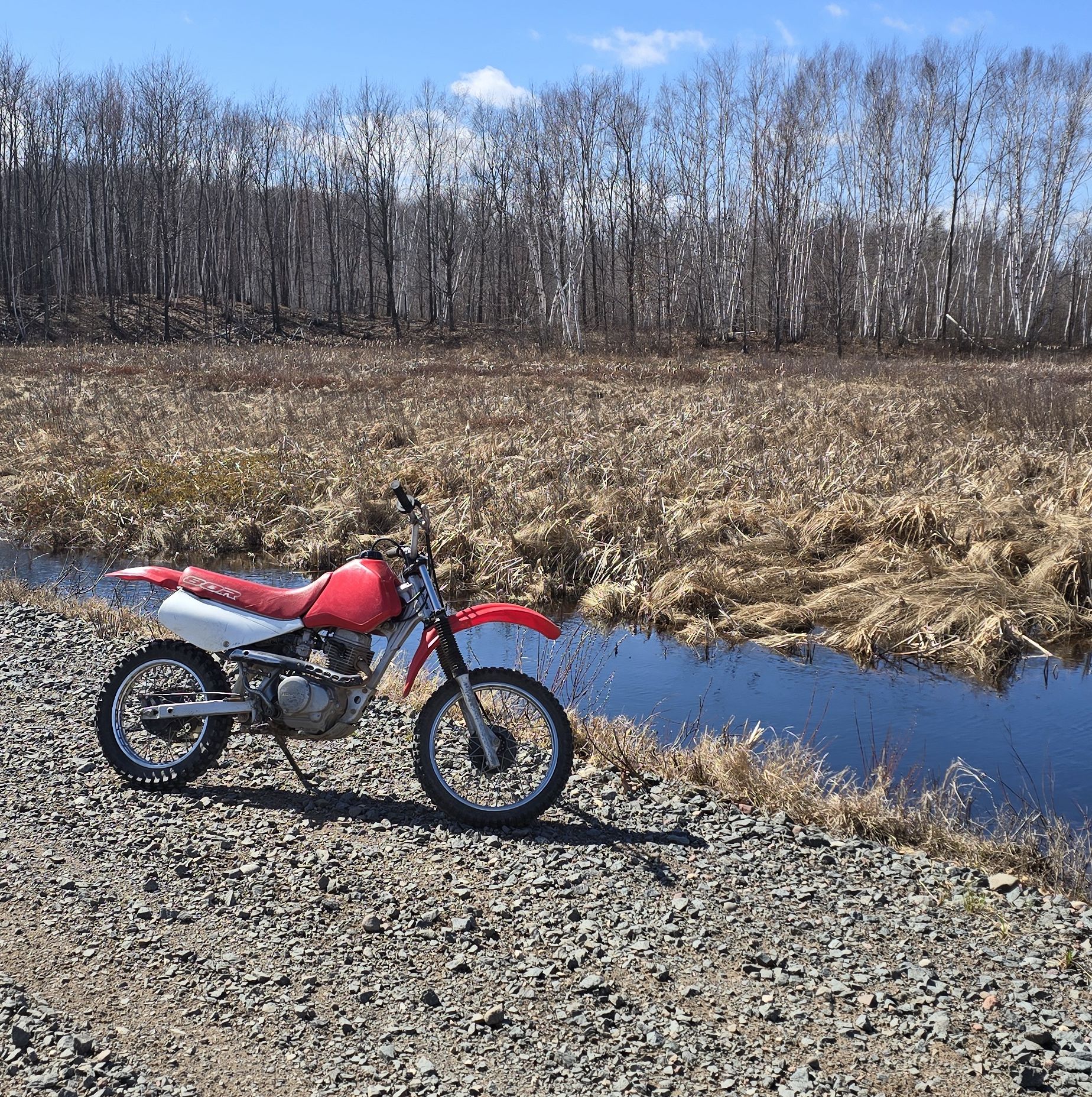 Profile of Kayla Teeter