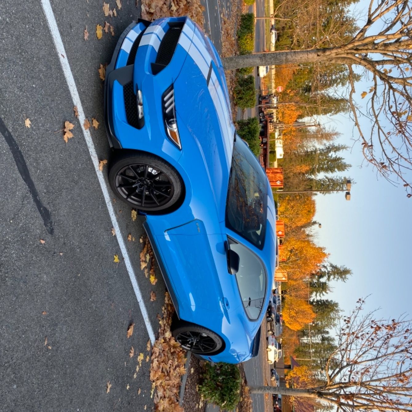 Profile of Ray Miller