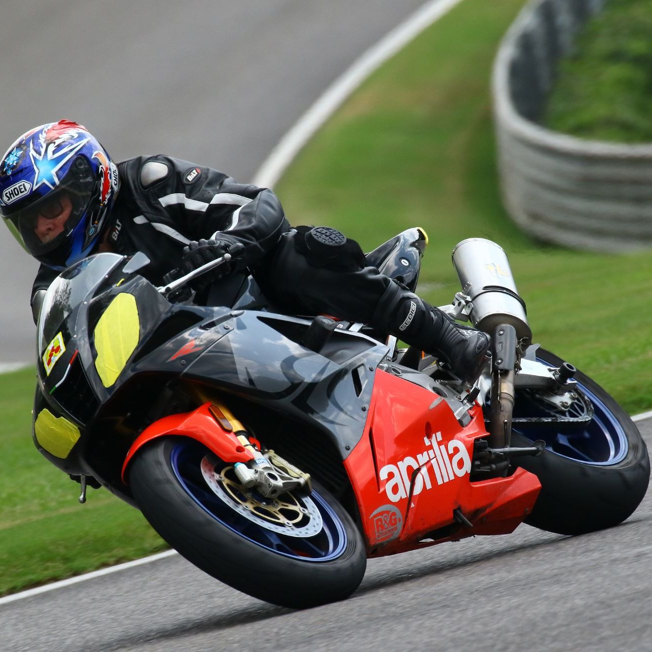 Profile of William Pollock