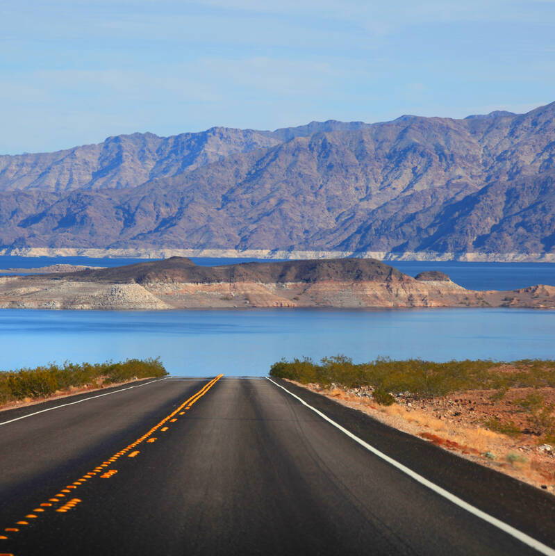 Profile of Leah Turner