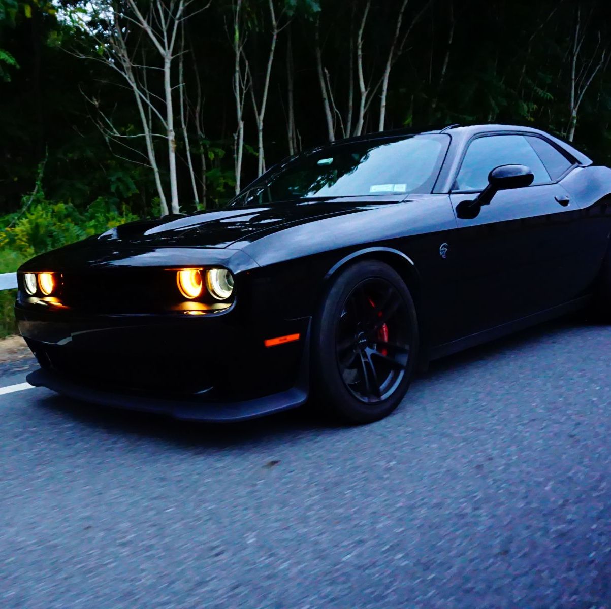 Profile of Paul Imperati