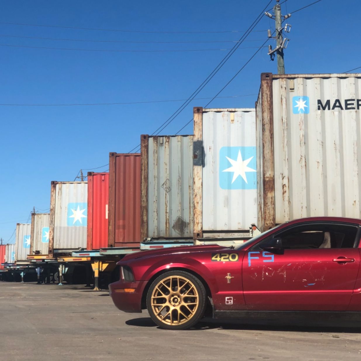 Profile of Maria Floudas