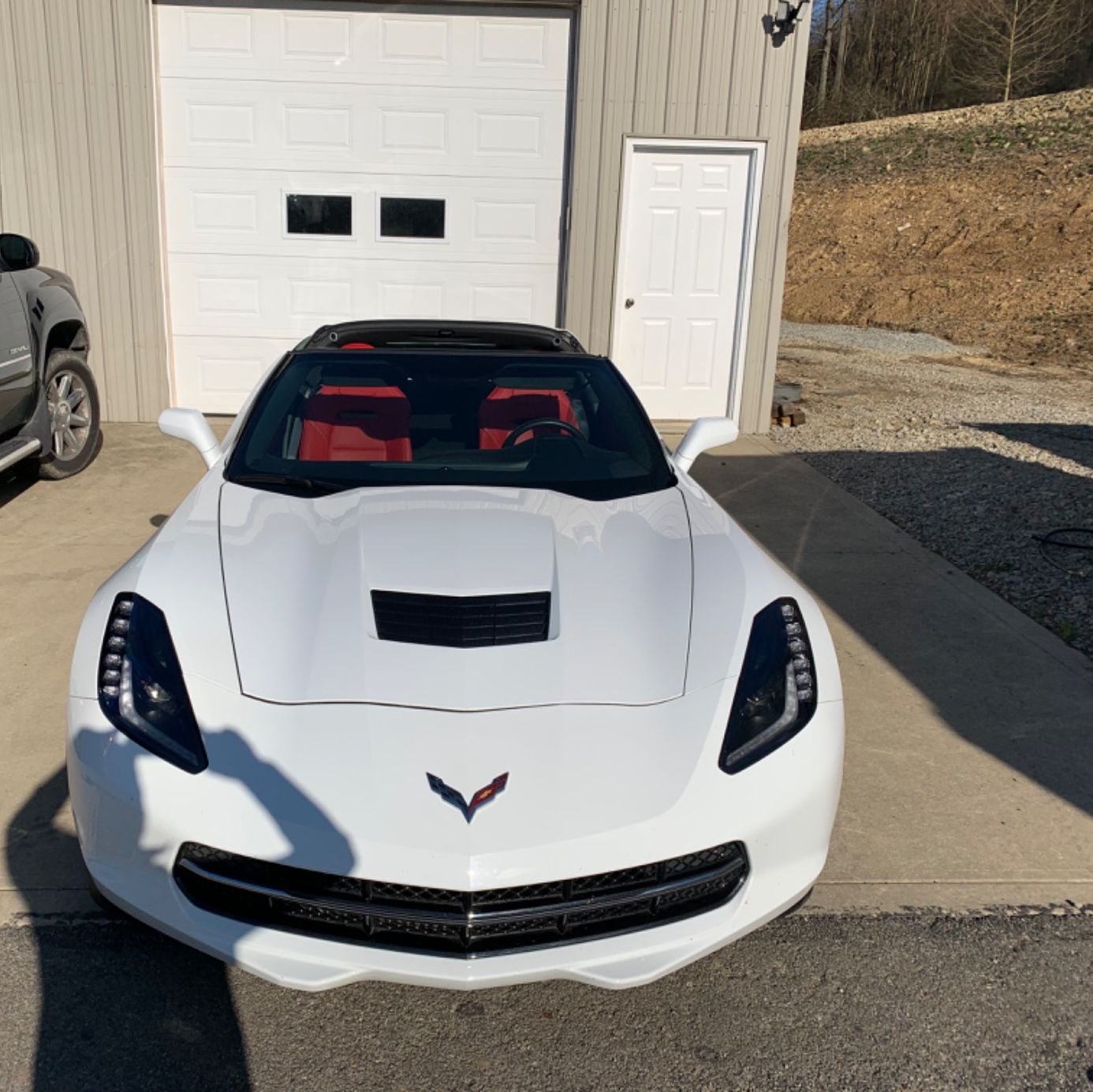 Profile of Steve Celaschi