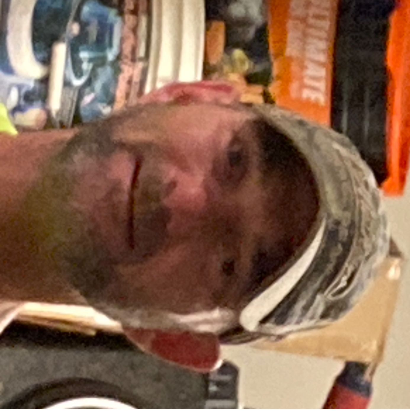 Profile of Ron Anderson