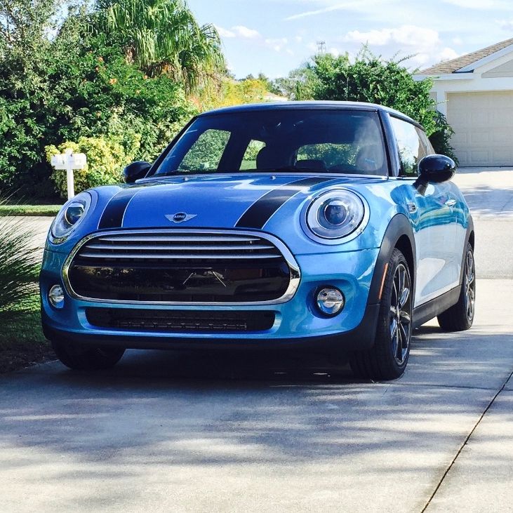 Profile of Sherilyn Burris