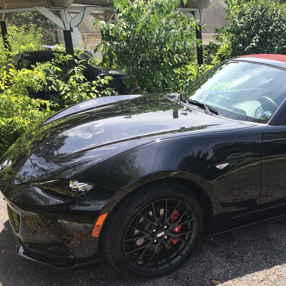 Profile of Tim Weatherford