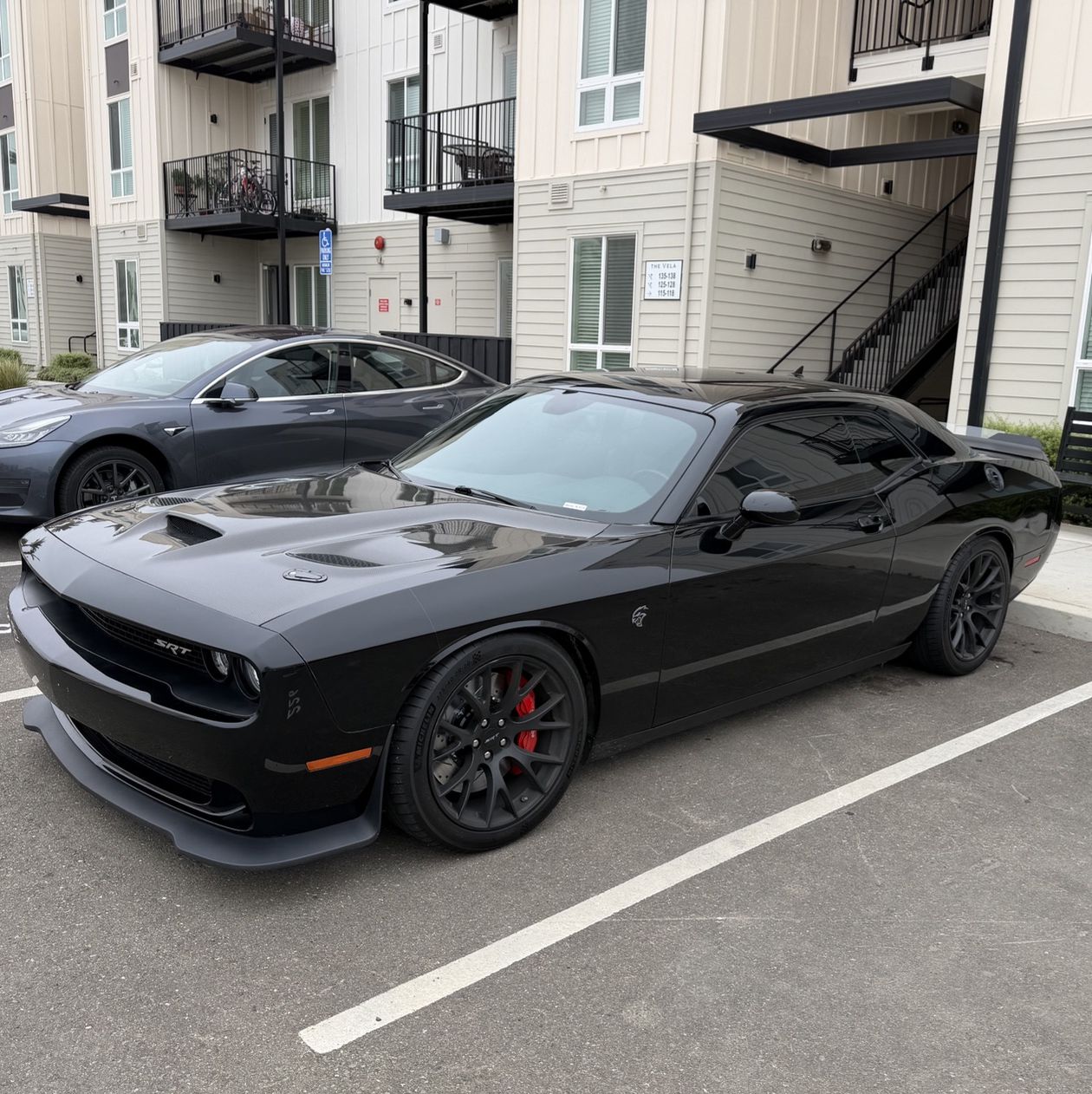 Profile of Dan Richey