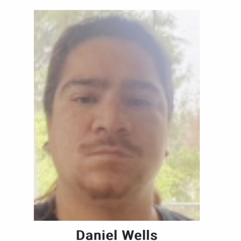 Profile of Daniel Wells