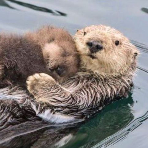 Profile of Jed Polinsky