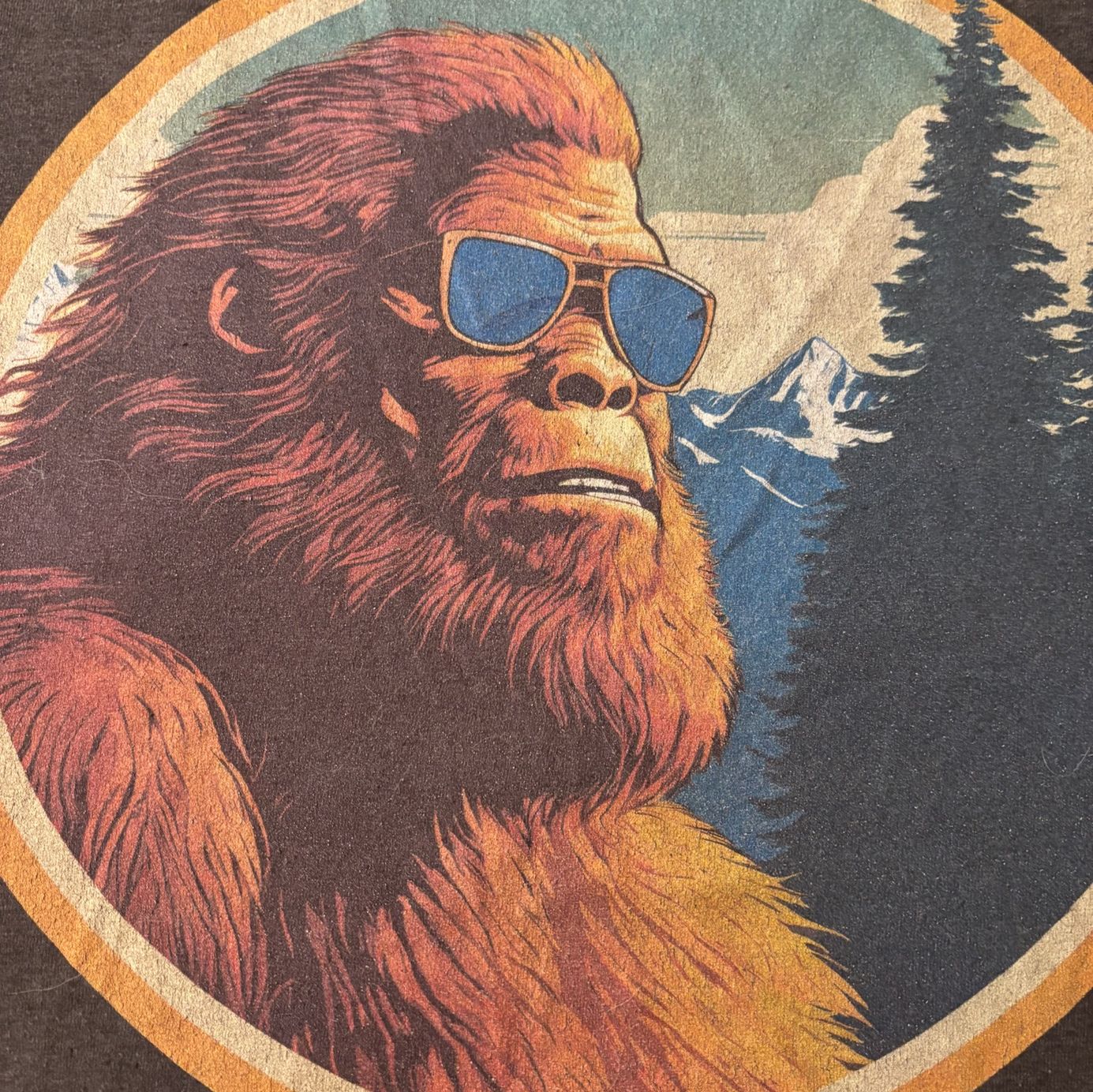 Profile of Greg Randall
