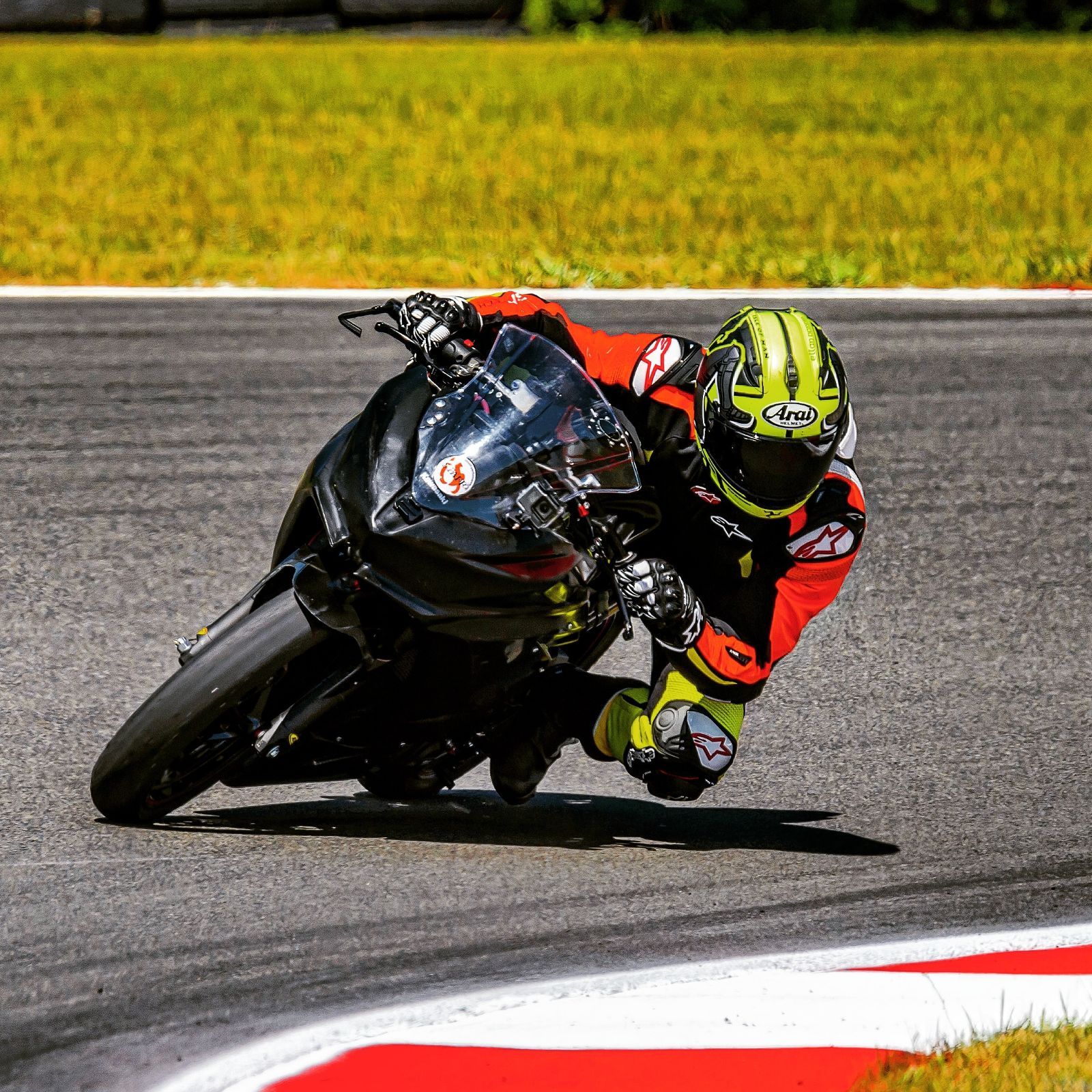 Profile of Chris Cuoco