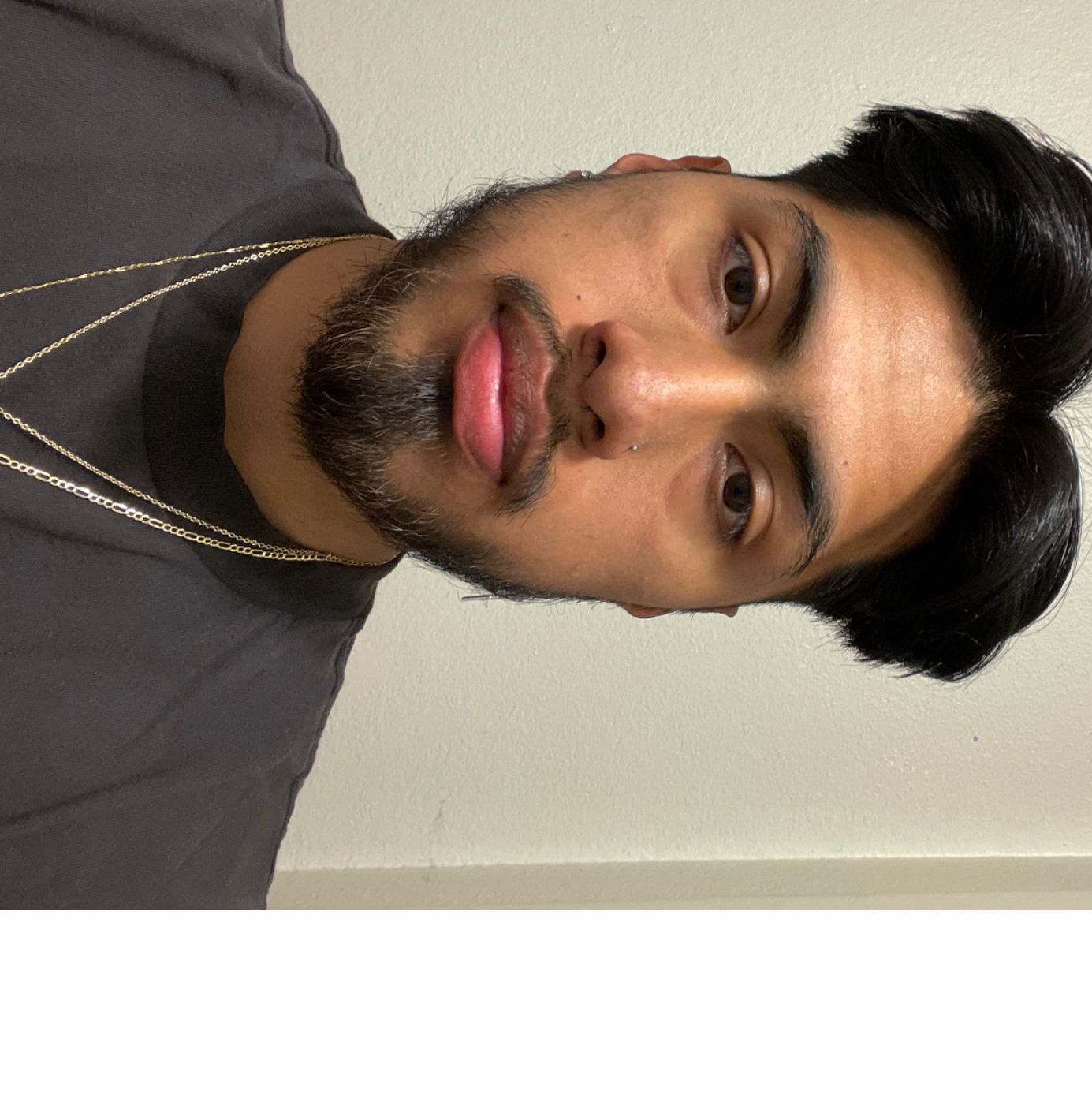 Profile of Brandon Torres celis