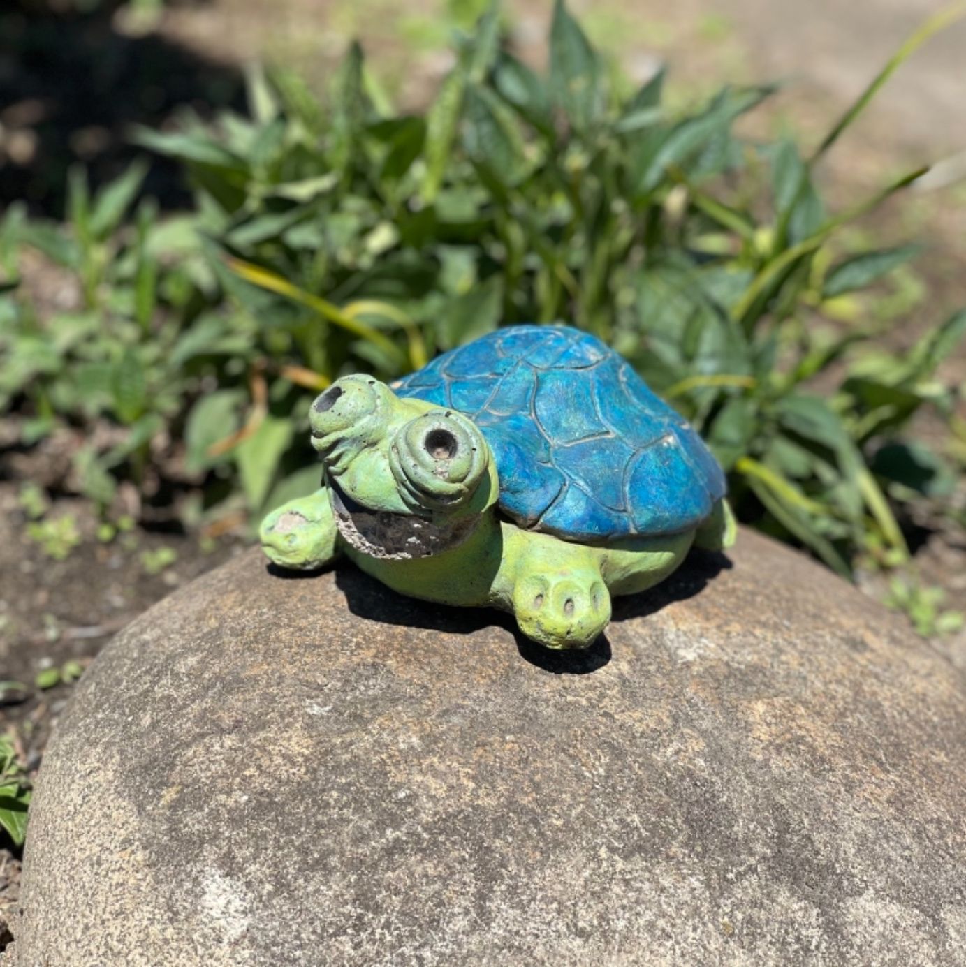 Profile of Willen Sun