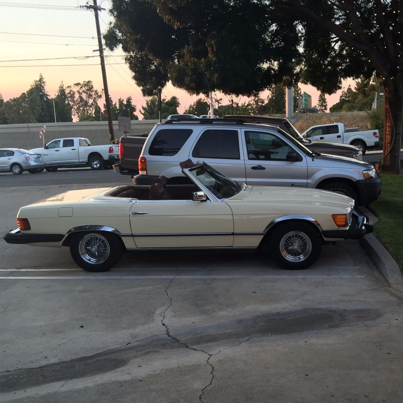 Profile of Walter Wood