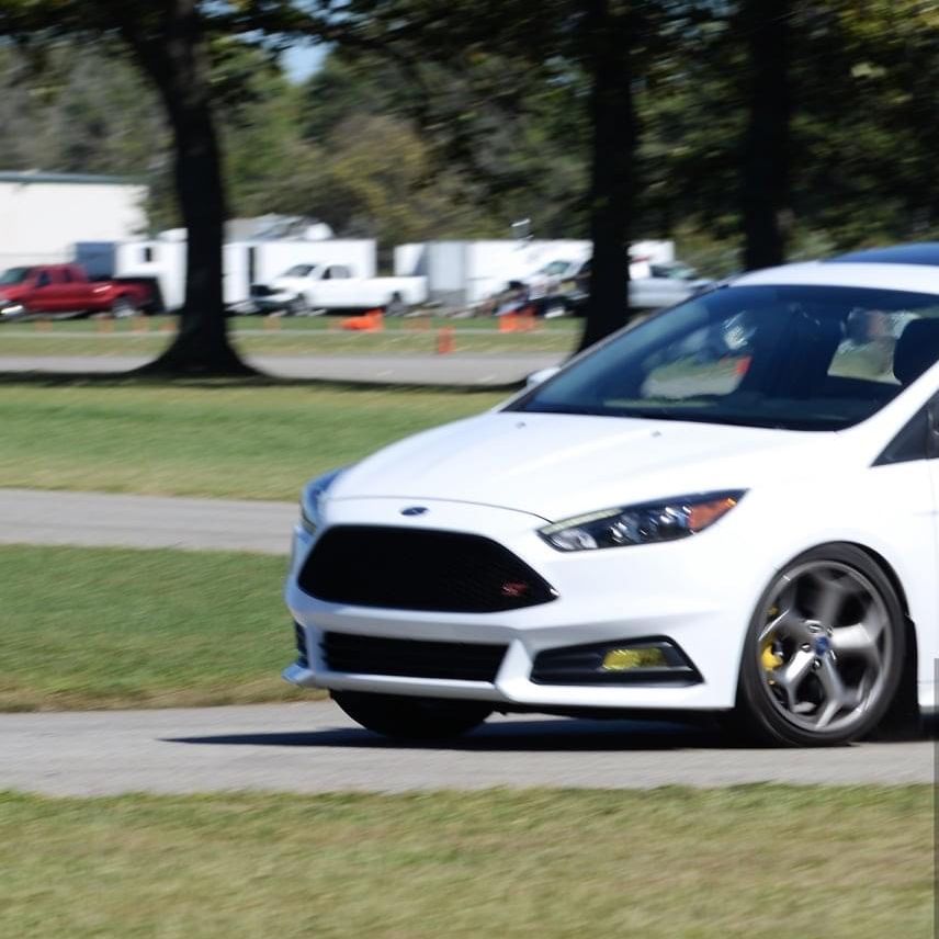 Profile of Forest Sluzewski