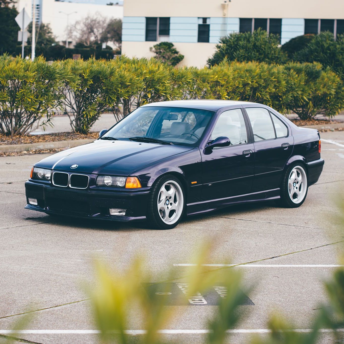 Profile of Melody Boulanger