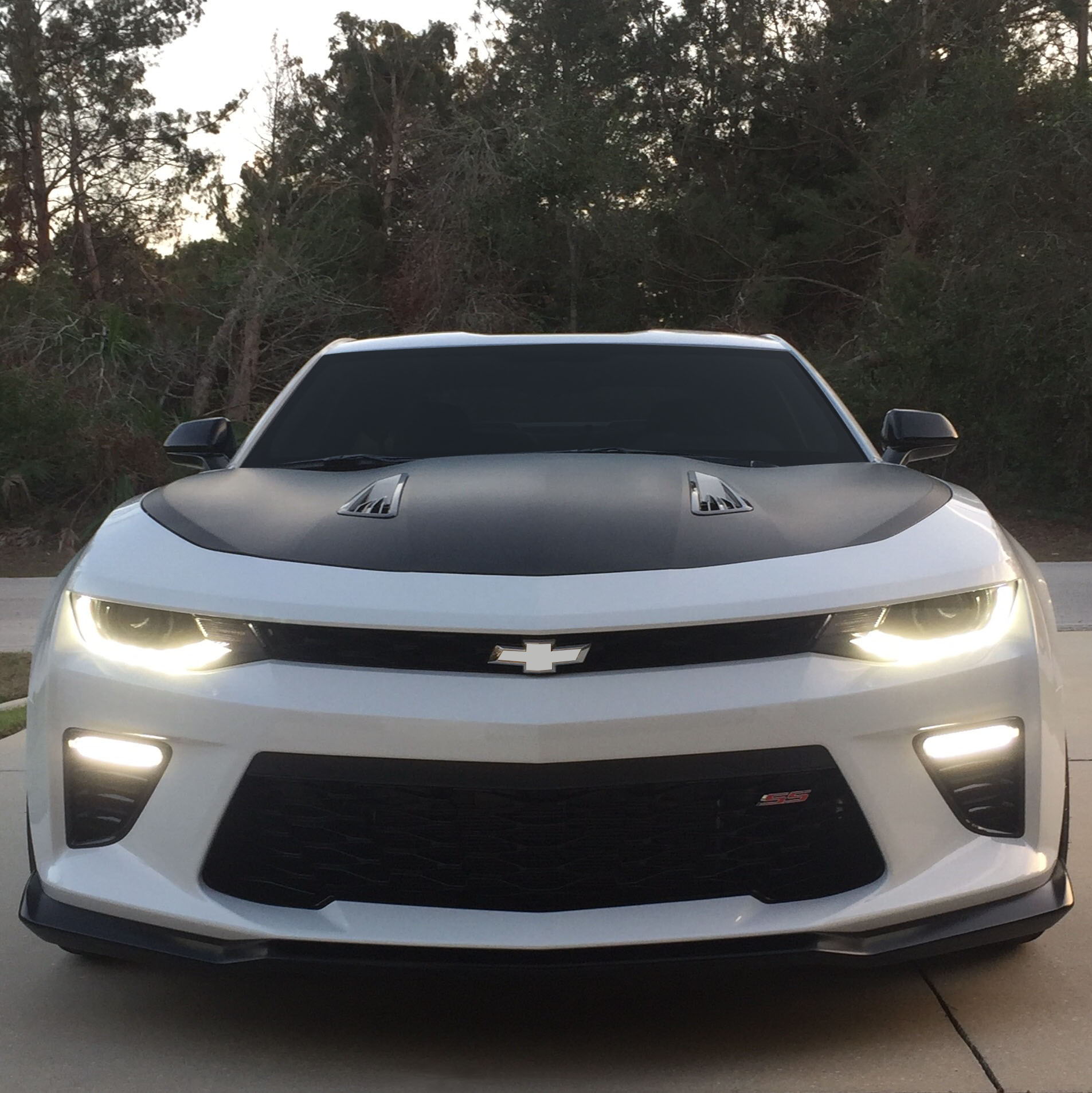 Profile of Ryan Minn