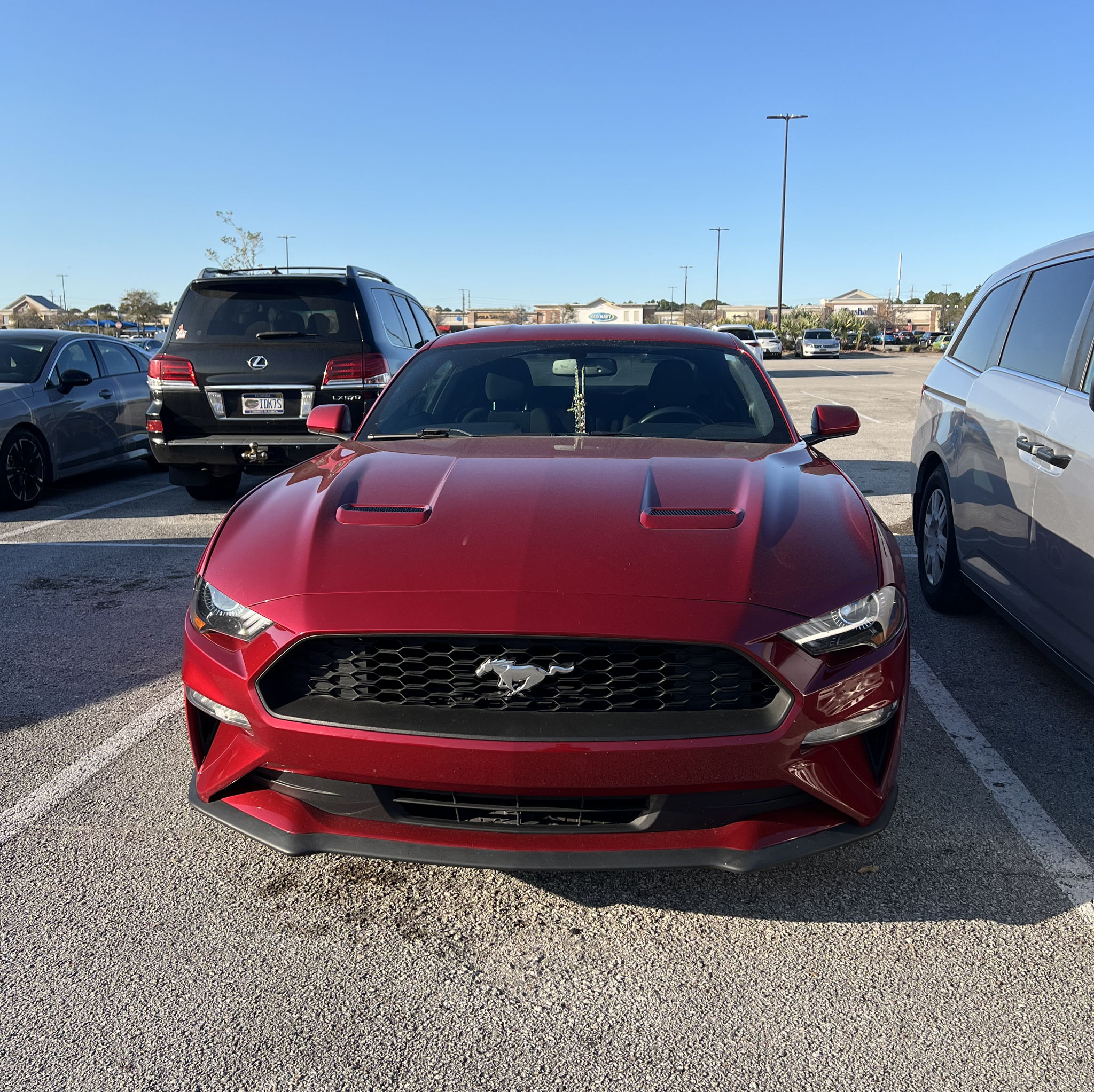 Profile of Morgan Lueddecke