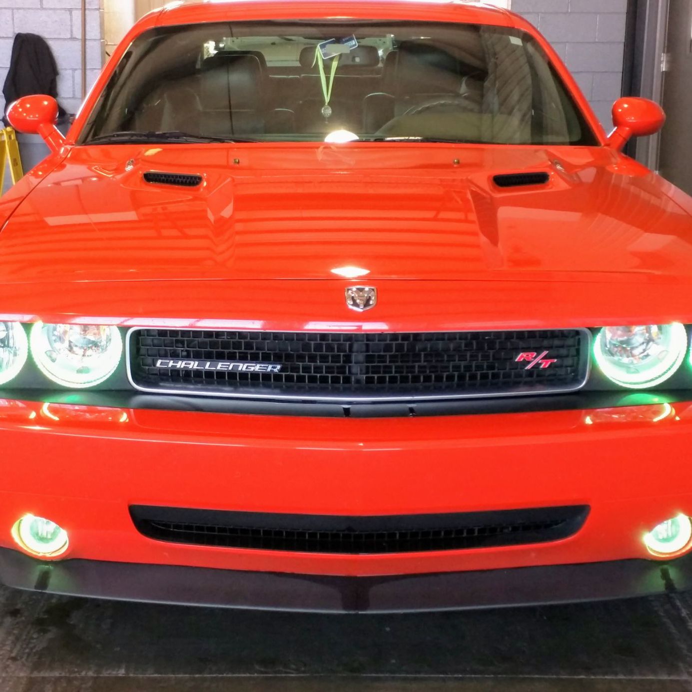 Profile of Kim Hoetmer