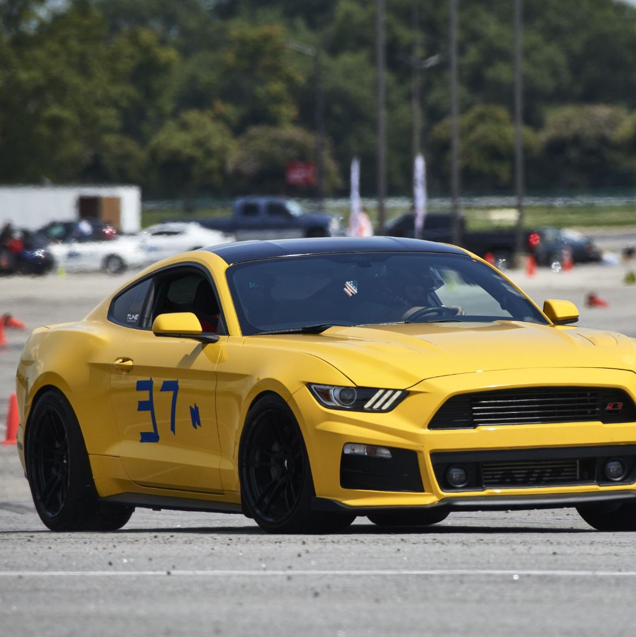 Profile of Evan Stoffell