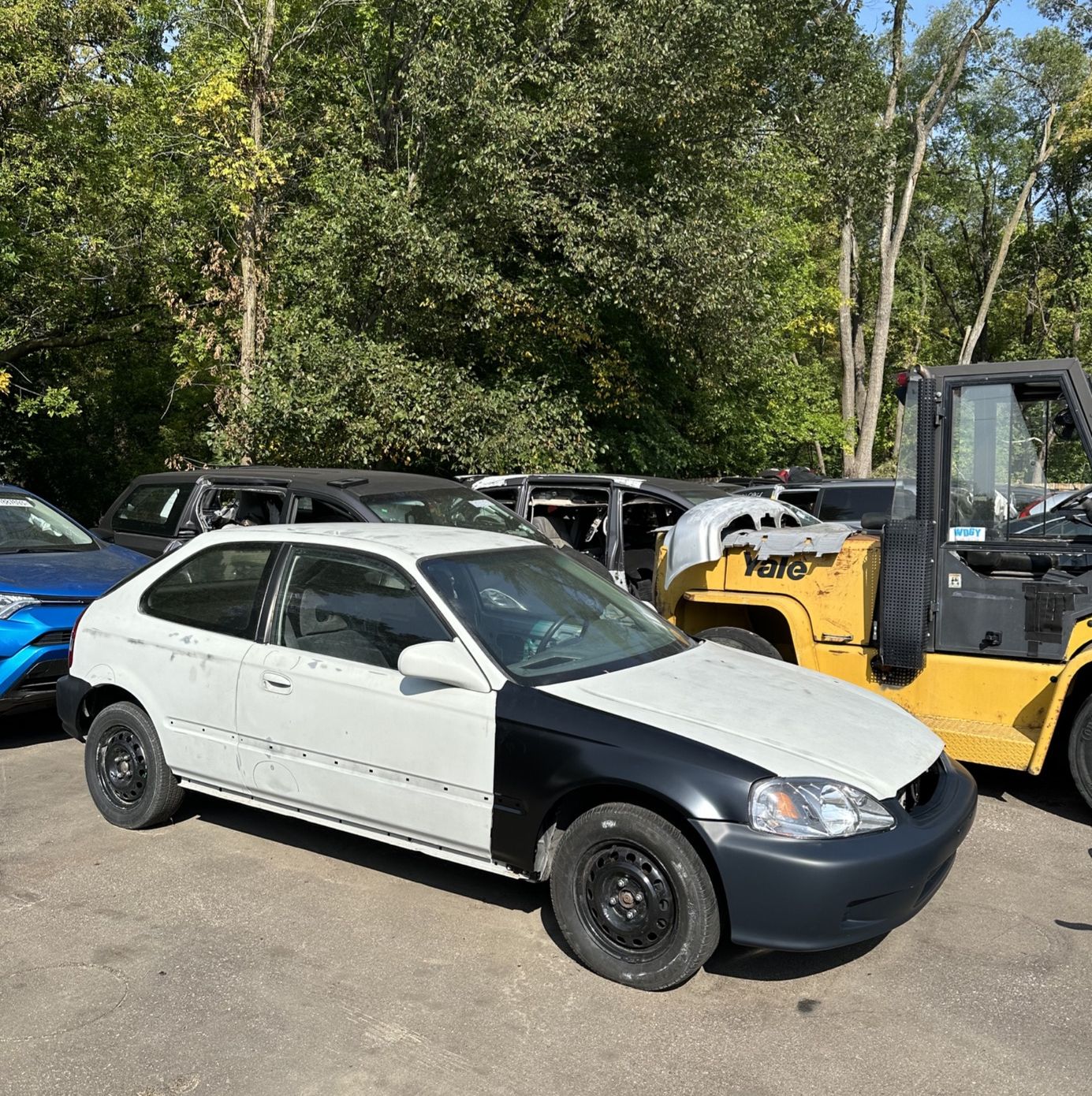 Profile of David Vdovchenko