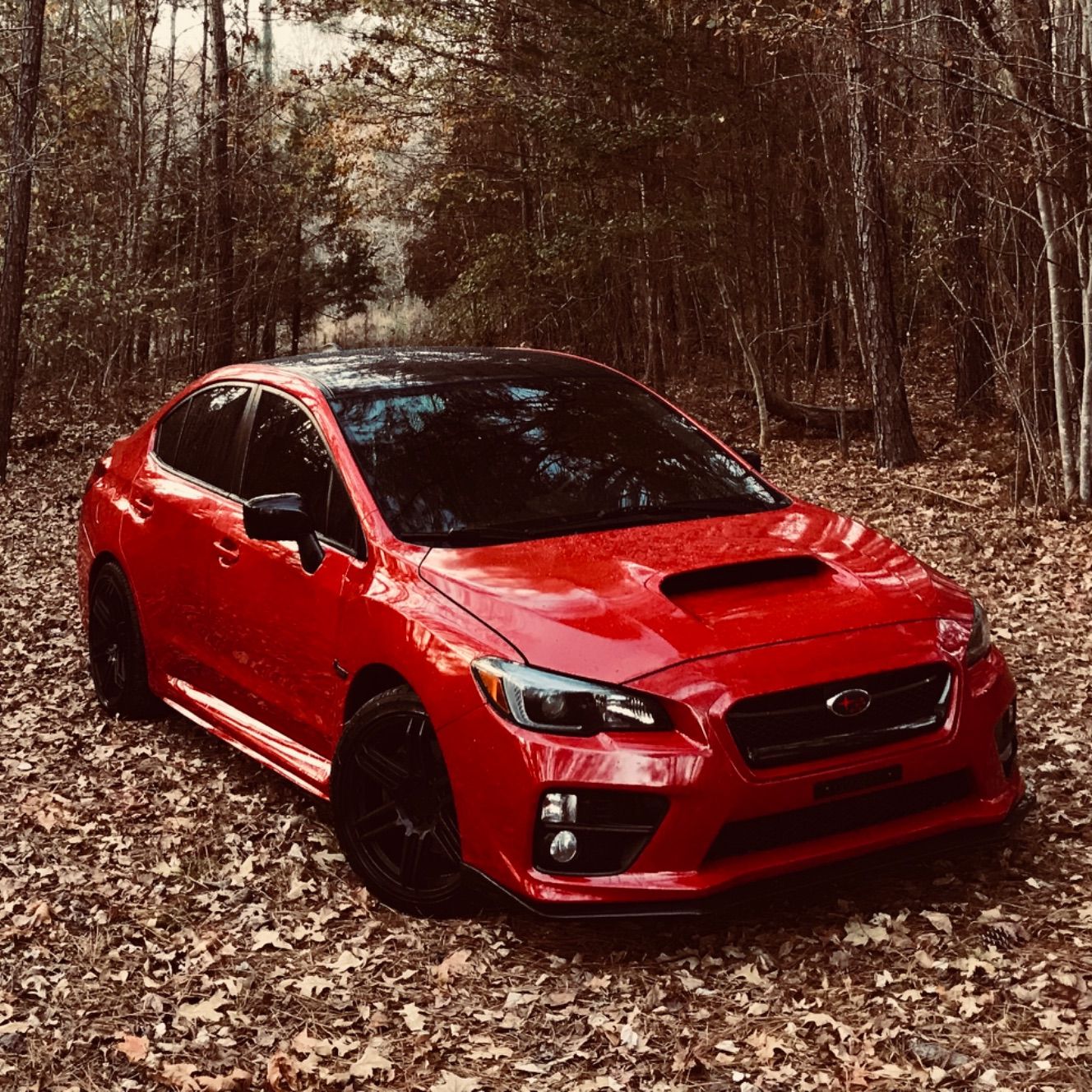 Profile of Andrew Luedeman