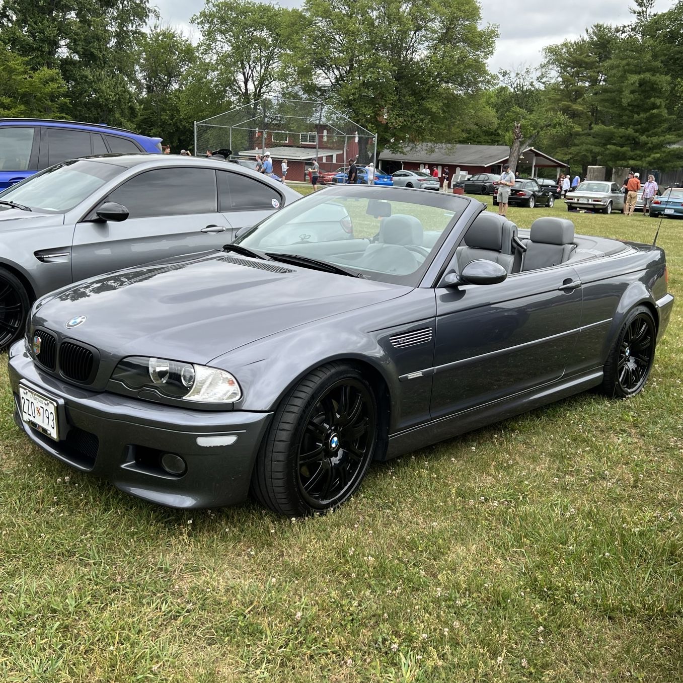 Profile of Wendy Torin