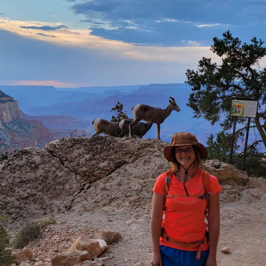 Profile of Stephanie Bivins