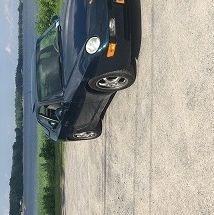 Profile of Michael Tumbarello